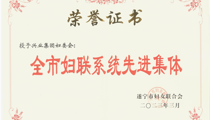 喜報！興業(yè)集團婦委會榮獲“全市婦聯(lián)系統(tǒng)先進集體”榮譽稱號